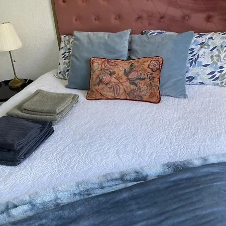 Sunylife 阿尔比尔